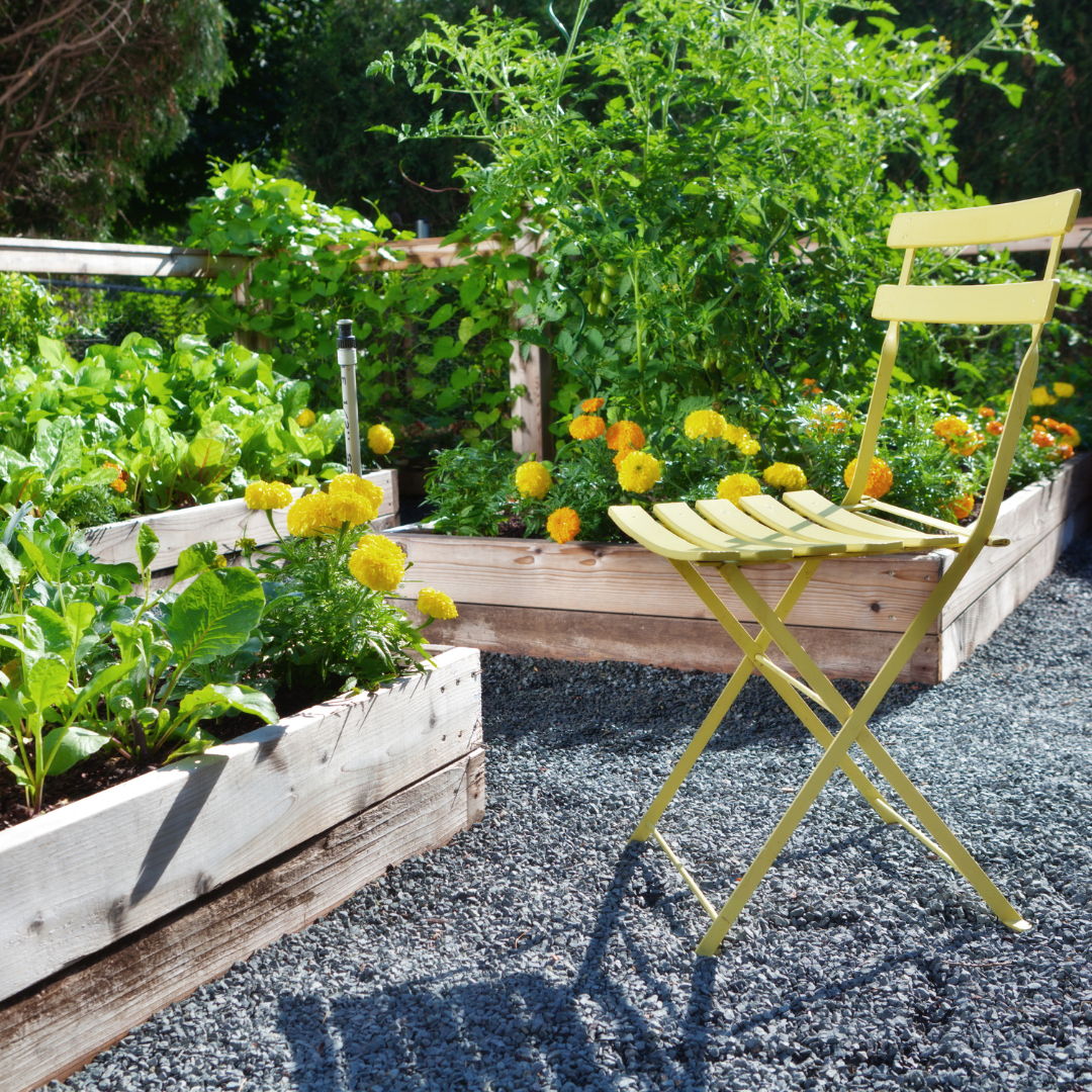 Raised Garden Beds
