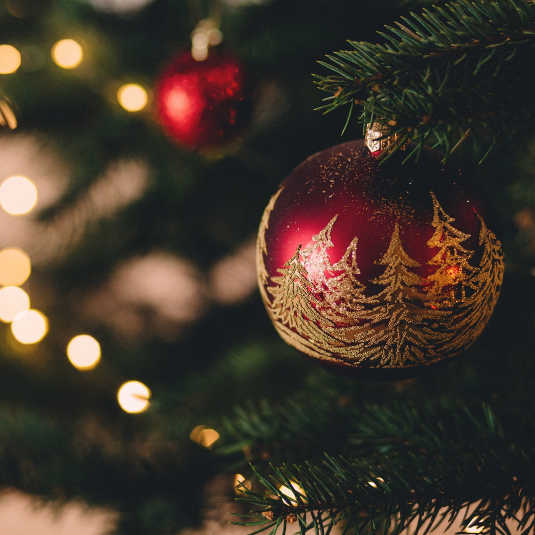 Christmas Trees 101