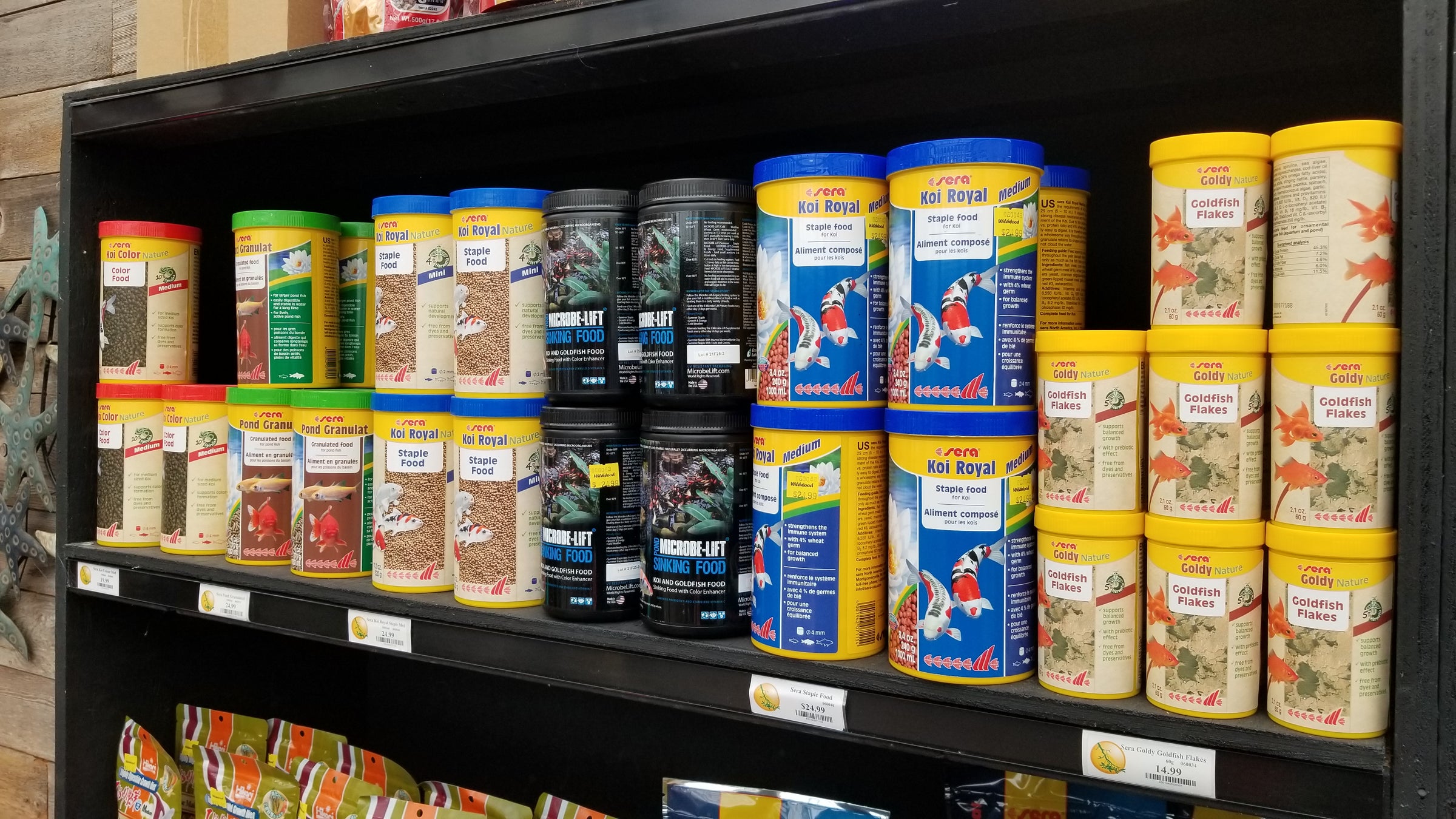 Fish Food