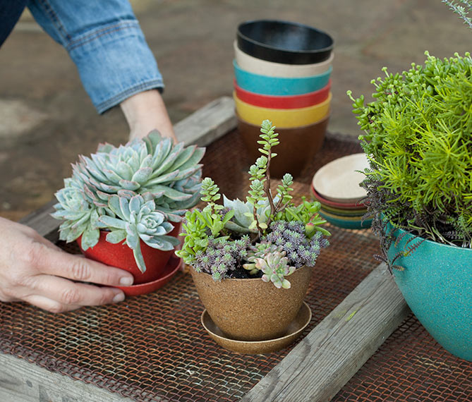 Eco Friendly Planters