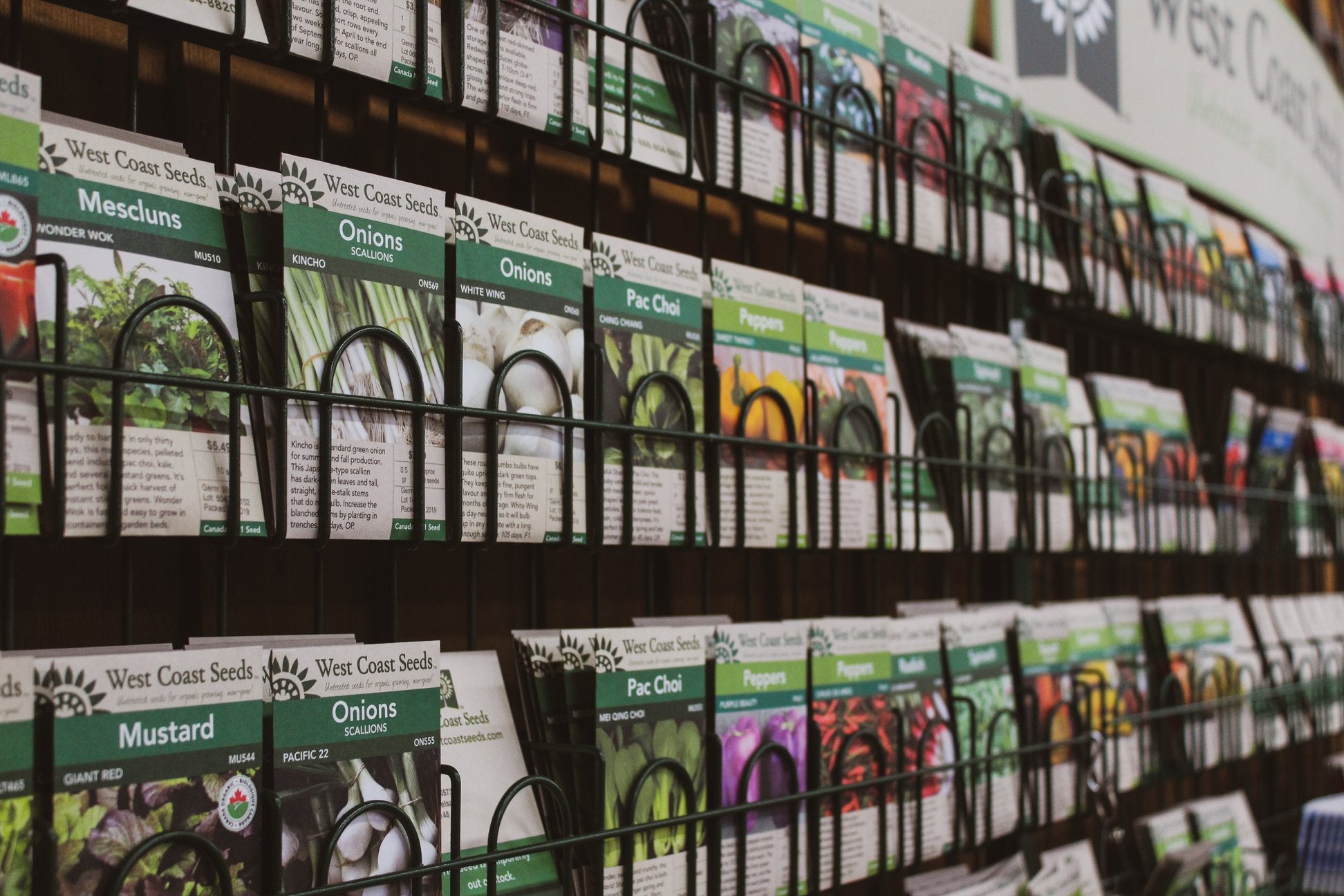 Westcoast seeds in a rack