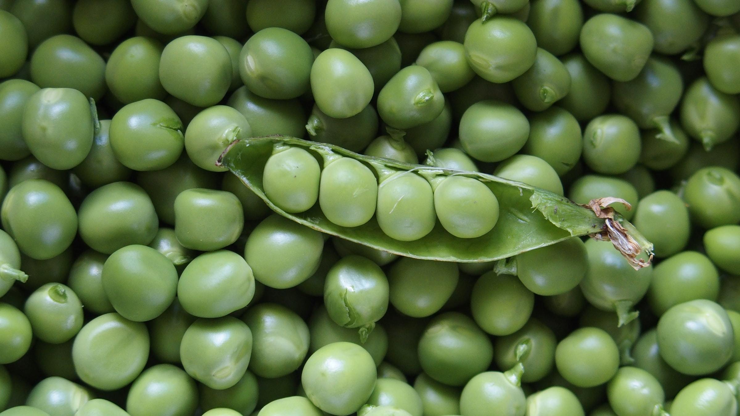 Pile of peas