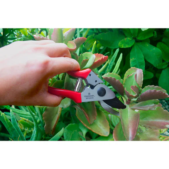 Corona BP13630 Yard Essentials Pocket Pruner