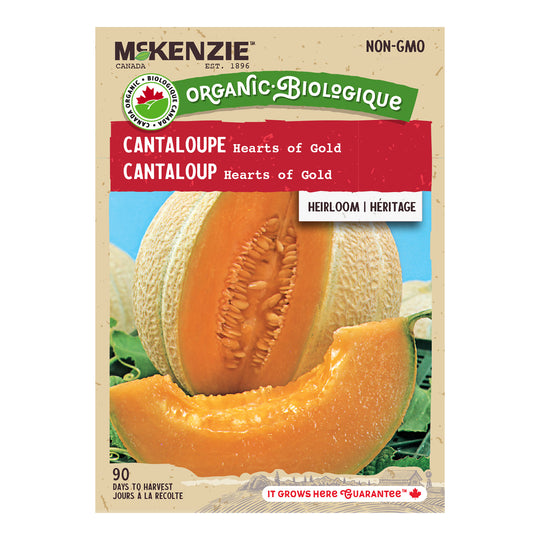 Organic Cantaloupe Hearts of Gold - McKenzie Seeds