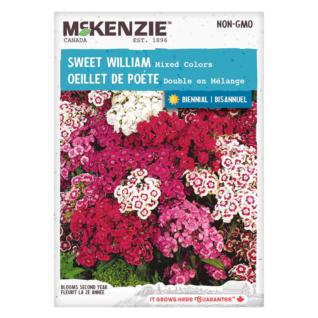 Sweet William Mixed Colours - McKenzie Seeds