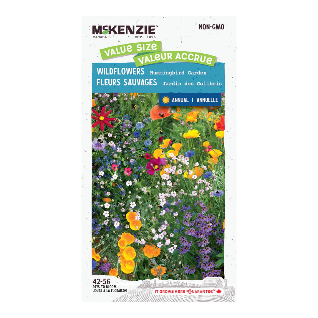 Hummingbird Garden Jumbo Pack - McKenzie Seeds