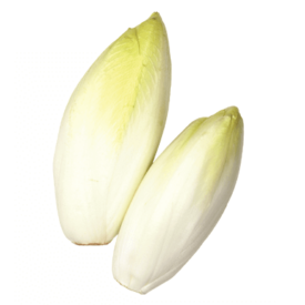 Chicory Witloof - Ontario Seed Company