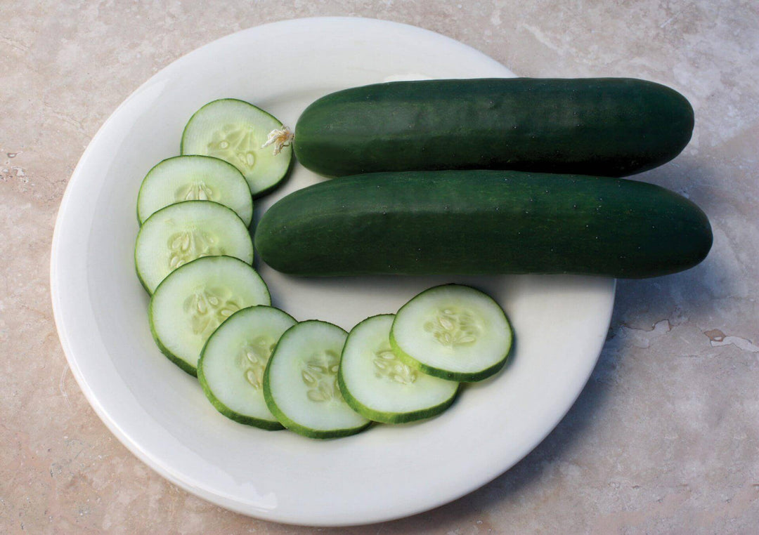 Cucumber Slicemore - Ontario Seed Company