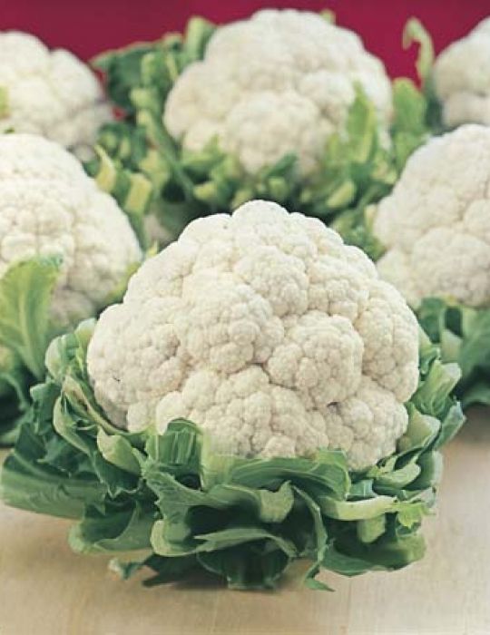 Cauliflower All Year Round - Mr. Fothergill's Seeds