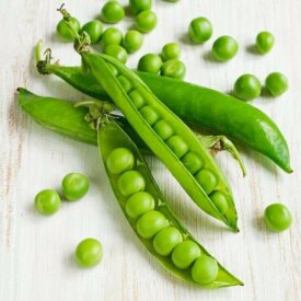 Pea Laxton's Progress No. 9 - Ontario Seed Company