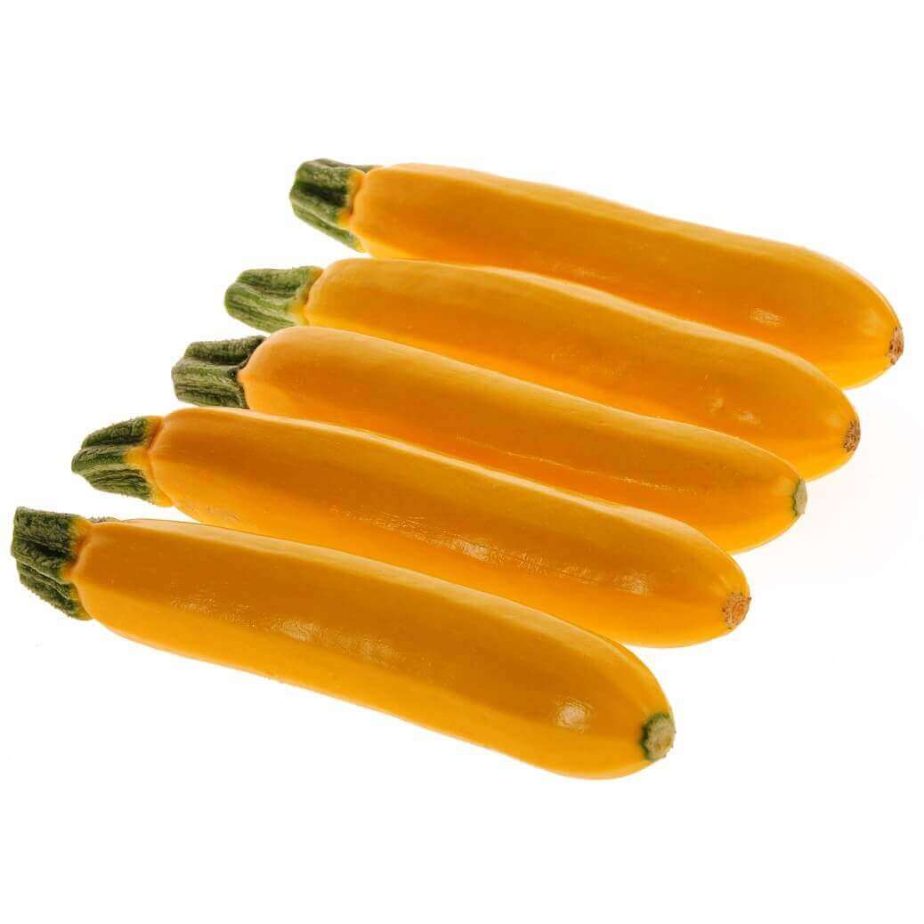 Squash Sebring Hybrid - Ontario Seed Company