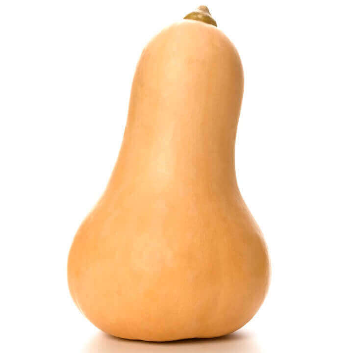 Squash Waltham Butternut - Ontario Seed Company