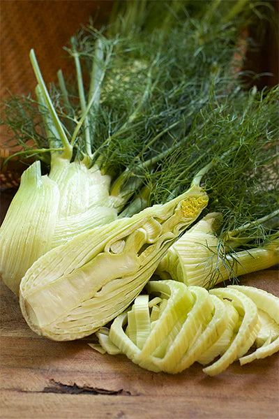 Fennel Solaris Hybrid Bulbing - Cornucopia Seeds