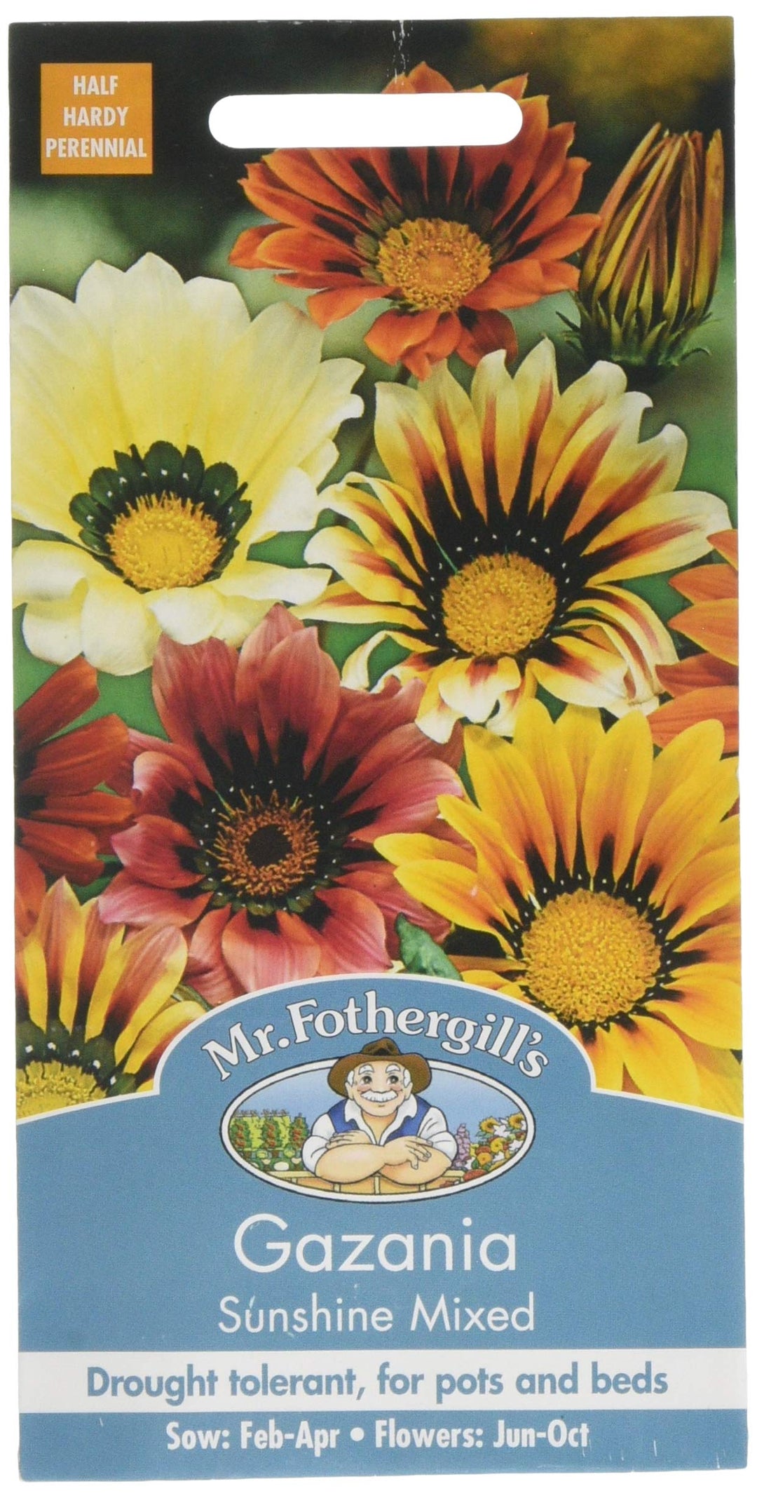 Gazania Sunshine Mixed - Mr.Fothergill's Seeds