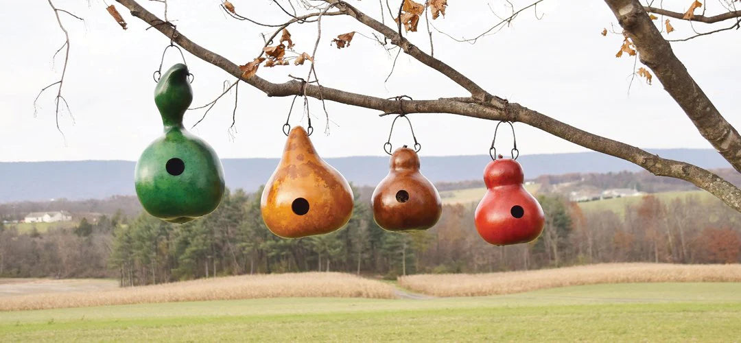 Gourds Birdhouse - Pacific Northwest Seeds