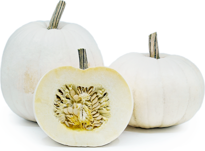 Pumpkin Lumina - Pacific Northwest Seeds