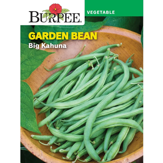 Bean Big Kahuna Bush - Burpee Seeds