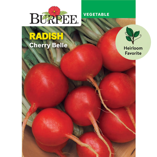 Cherry Belle Radish - Burpee Seeds