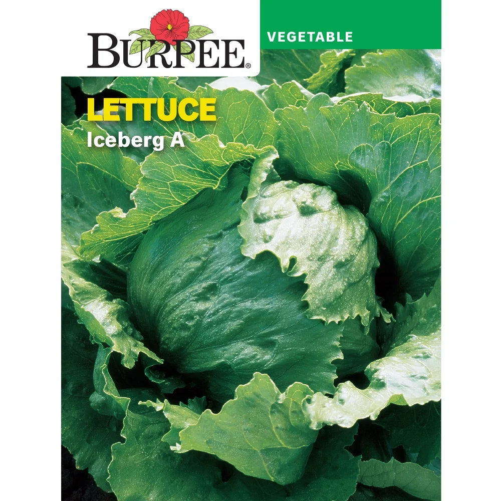 Lettuce Iceberg A - Burpee Seeds