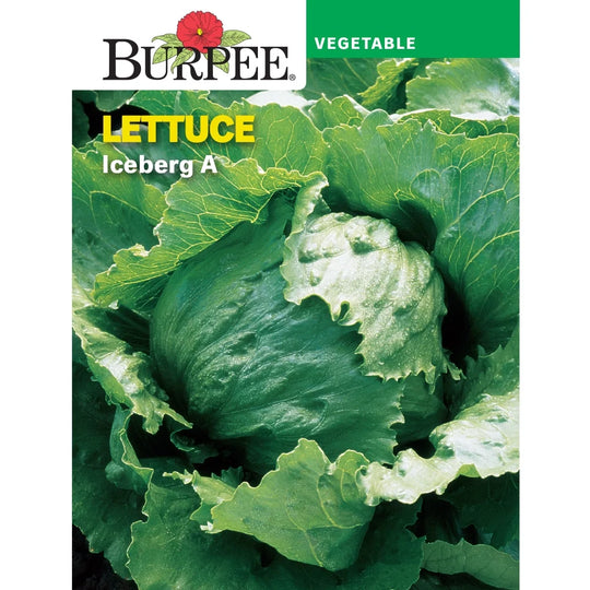 Lettuce Iceberg A - Burpee Seeds