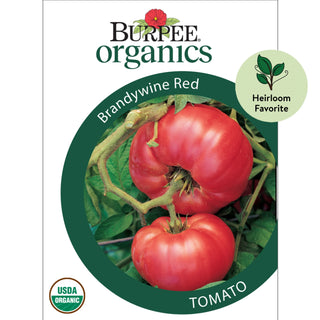 Organic Tomato Brandywine Red - Burpee Seeds