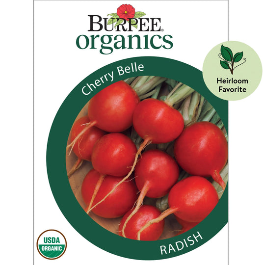 Organic Radish Cherry Belle - Burpee Seeds
