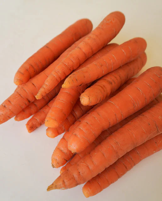 Carrot Narvik- West Coast Seeds