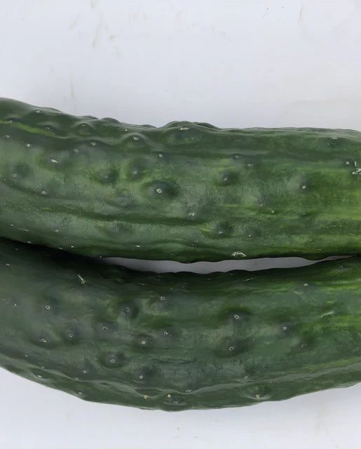 Organic Cucumber Marketmore 76 - West Coast Seeds