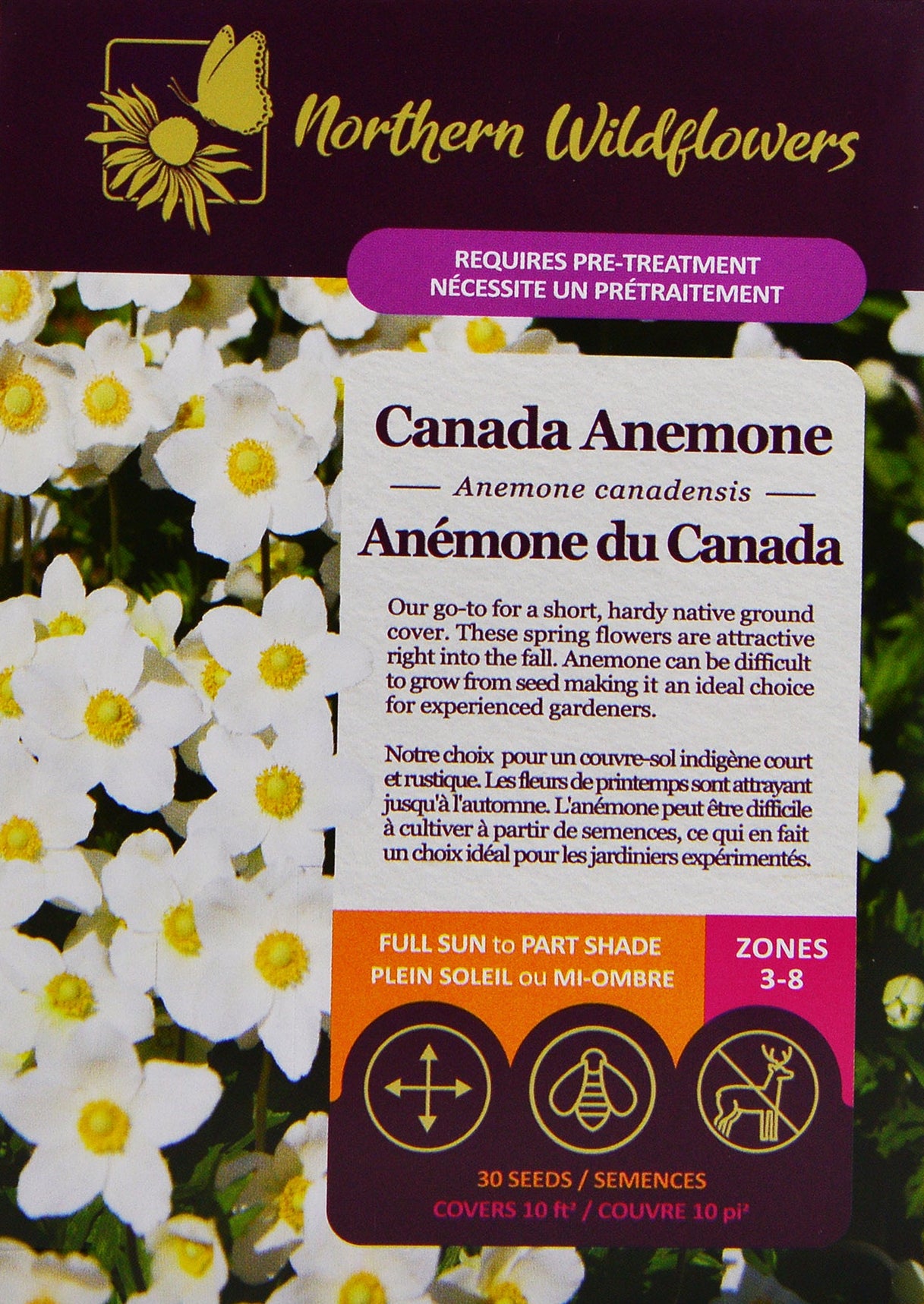Canada Anemone - Northern Wildflowers – Wildwood Outdoor Living