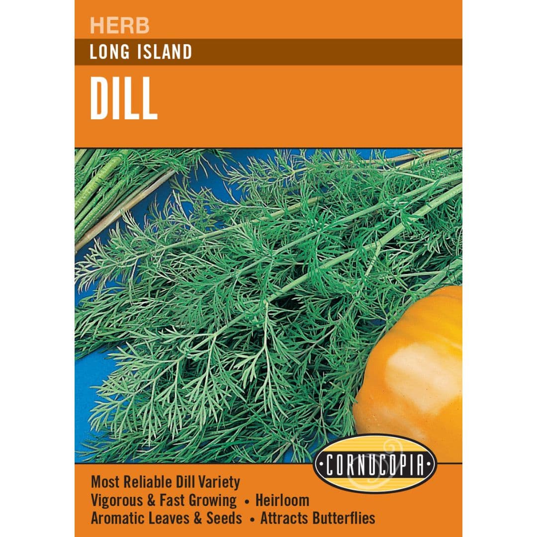 Dill Long Island Mammoth - Cornucopia Seeds