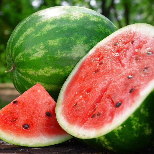 Watermelon Crimson Sweet - Burpee Seeds