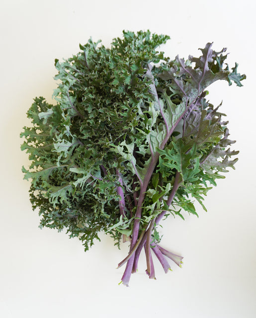 Kale Medusa - West Coast Seeds