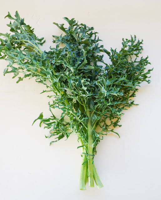 Kale Hydra - West Coast Seeds