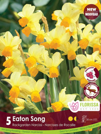 Narcissus - Eaton Song, 5 Pack