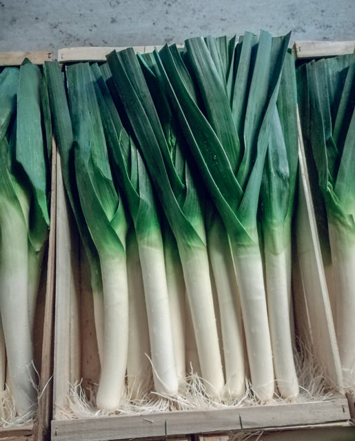 Leek Biker - West Coast Seeds
