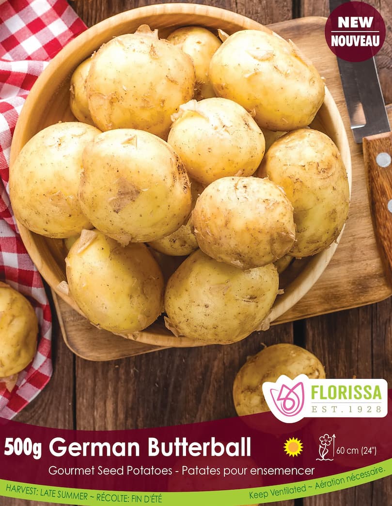 3 LB Bag Of German Butterball Potato Seeds - Non-GMO, Natural, Fast-Growing