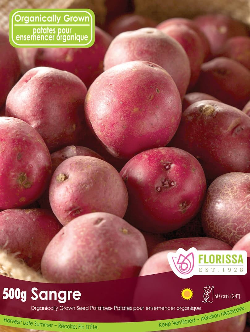 Potato - Sangre Organic, 500g