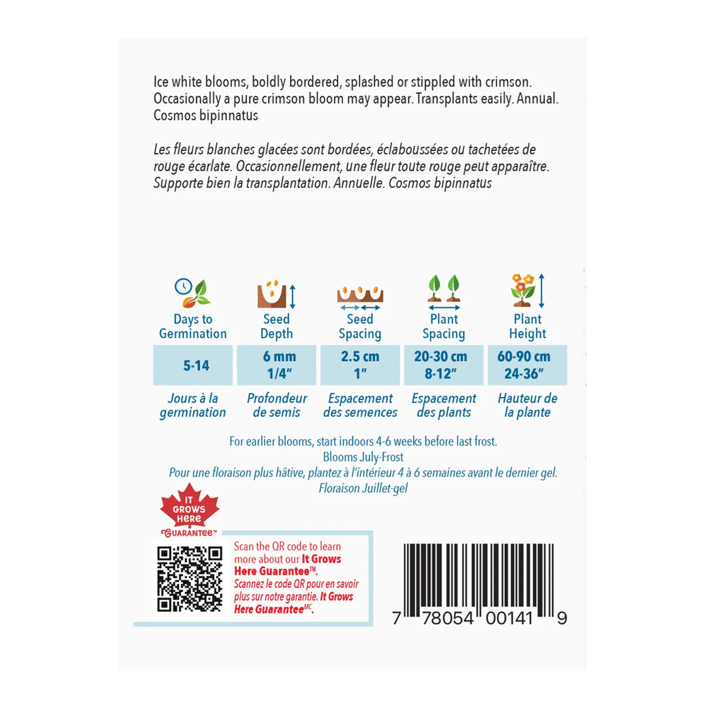 Cosmos Candy Stripe - McKenzie Seeds