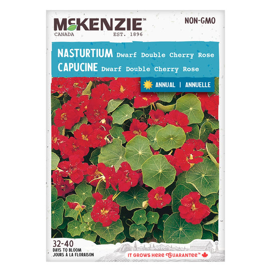 Nasturtium Dwarf Cherry Red - McKenzie Seeds