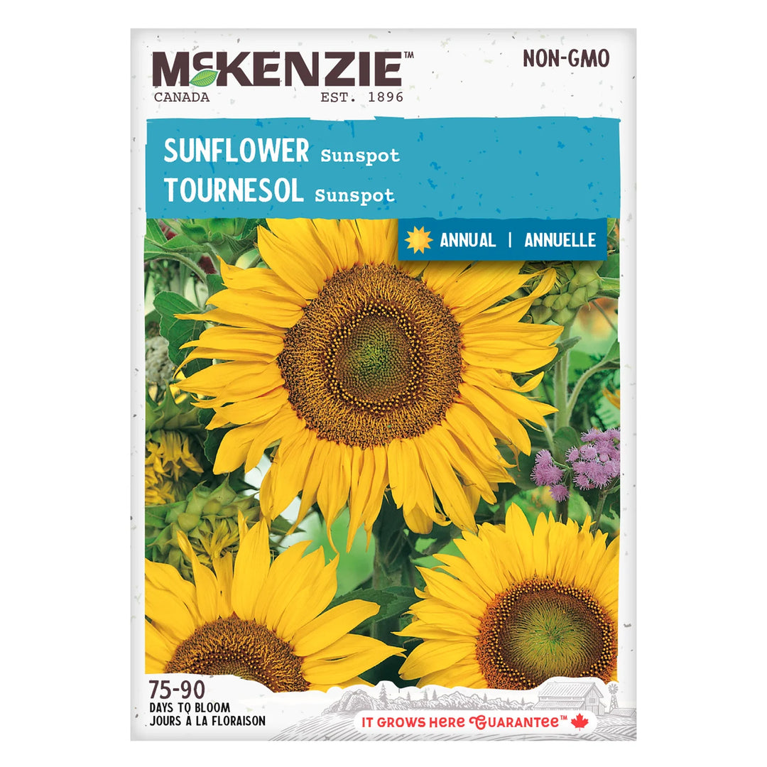 Sunflower Sunspot - McKenzie Seeds