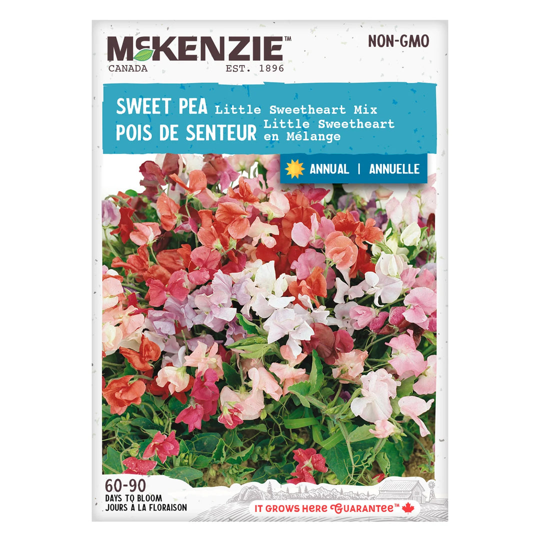 Sweet Pea Little Sweetheart Mix - McKenzie Seeds