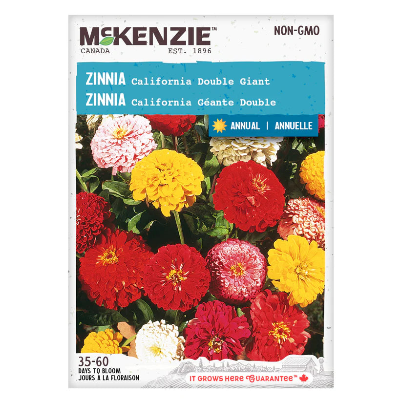 Zinnia California Double Giant - McKenzie Seeds
