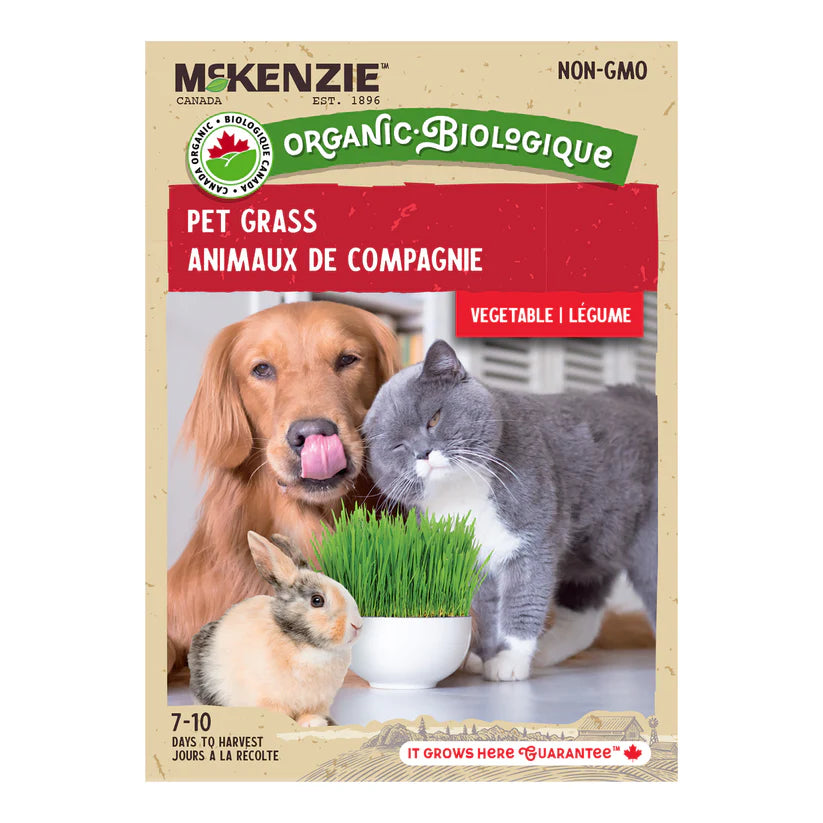 Organic Catgrass Oats - McKenzie Seeds