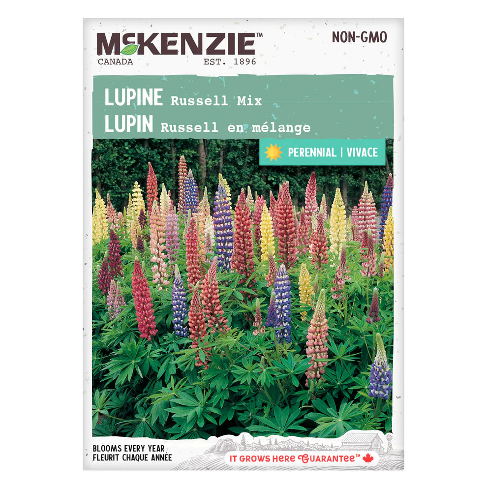 Lupins Russell's Mix Hybrid - McKenzie Seeds – Wildwood Outdoor Living