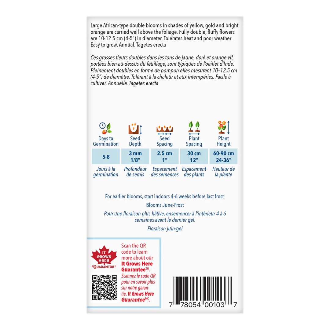 Marigold Crackerjack Jumbo Pack - McKenzie Seeds