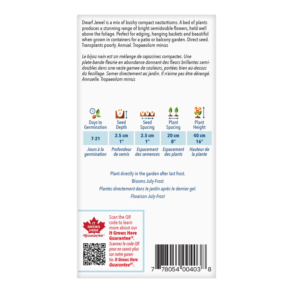 Nasturtium Jewel Mix Jumbo Pack - McKenzie Seeds