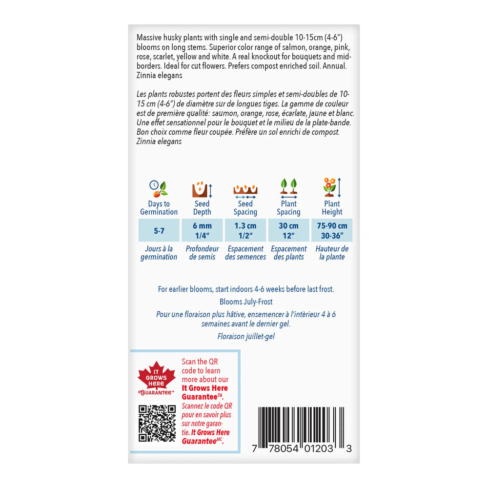 Zinnia State Fair Jumbo Pack - McKenzie Seeds