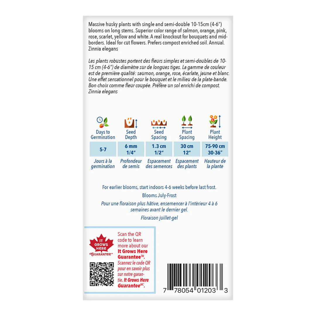 Zinnia State Fair Jumbo Pack - McKenzie Seeds