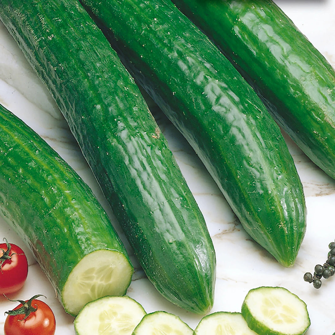 Cucumber English Telegraph - Pacific Northwest Seeds