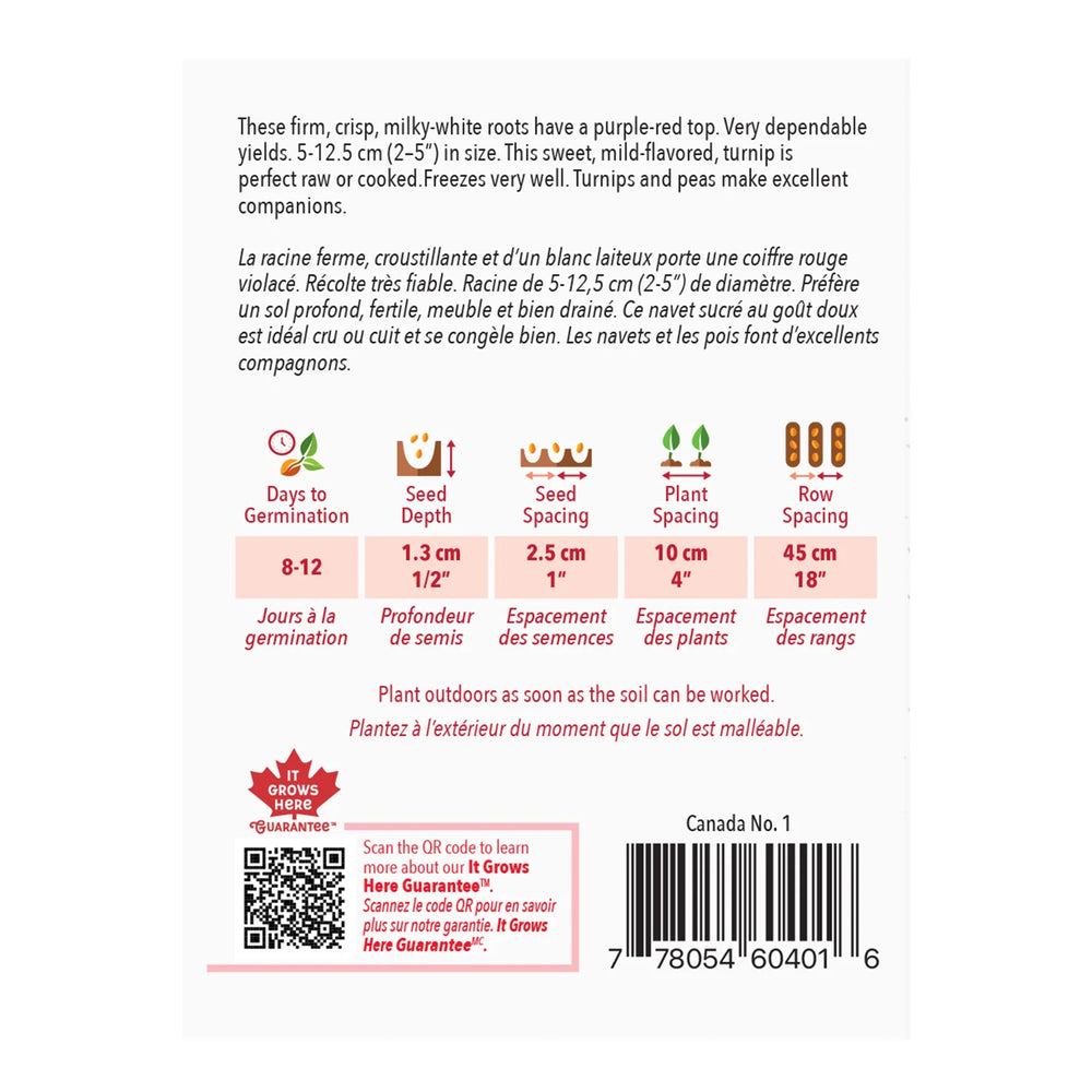 Turnip Purple Top White Globe - McKenzie Seeds